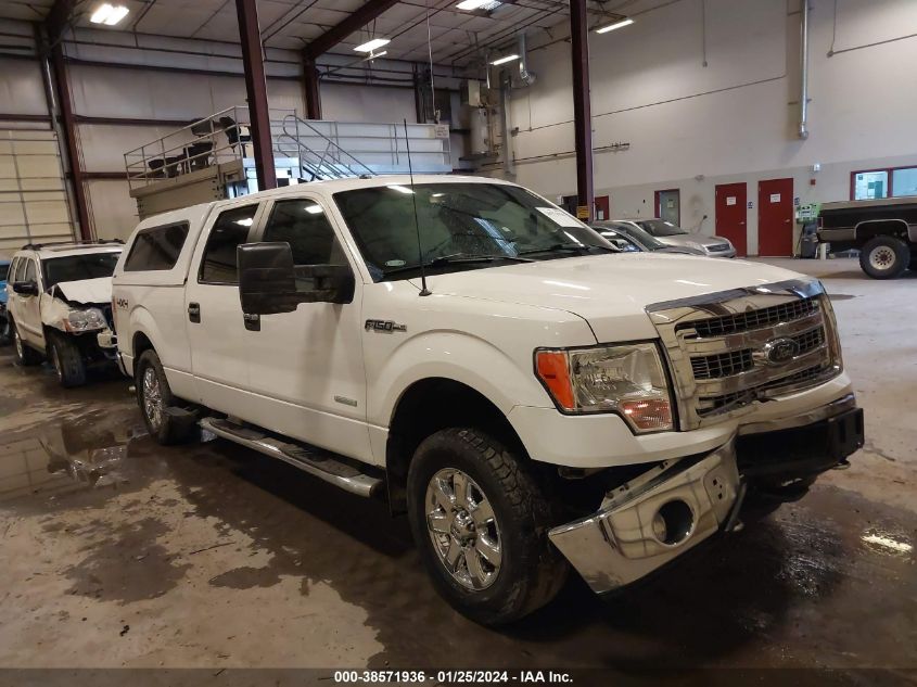 2014 FORD F-150 XLT