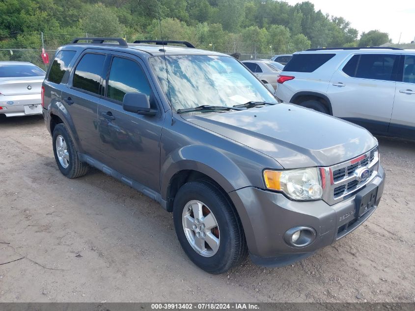 2011 FORD ESCAPE XLT