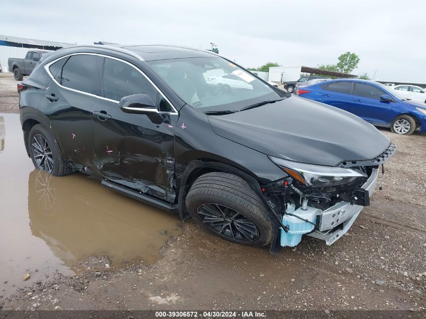 2024 LEXUS NX 250 PREMIUM