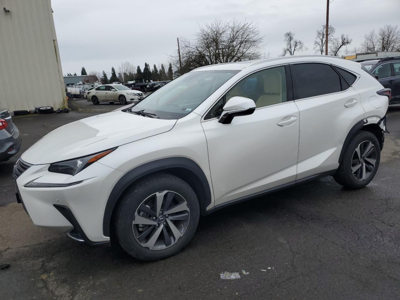 2020 LEXUS NX 300