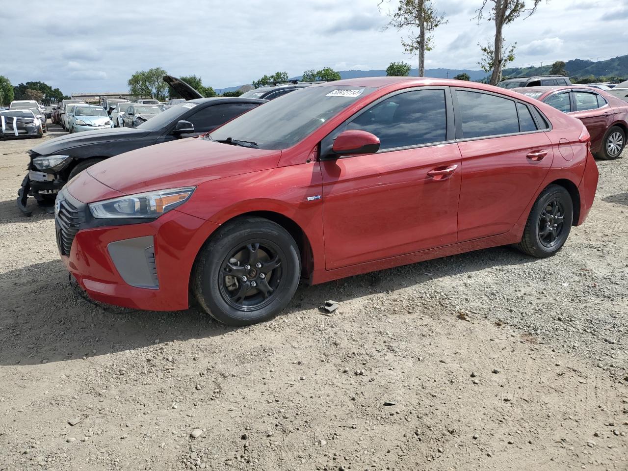 2019 HYUNDAI IONIQ BLUE