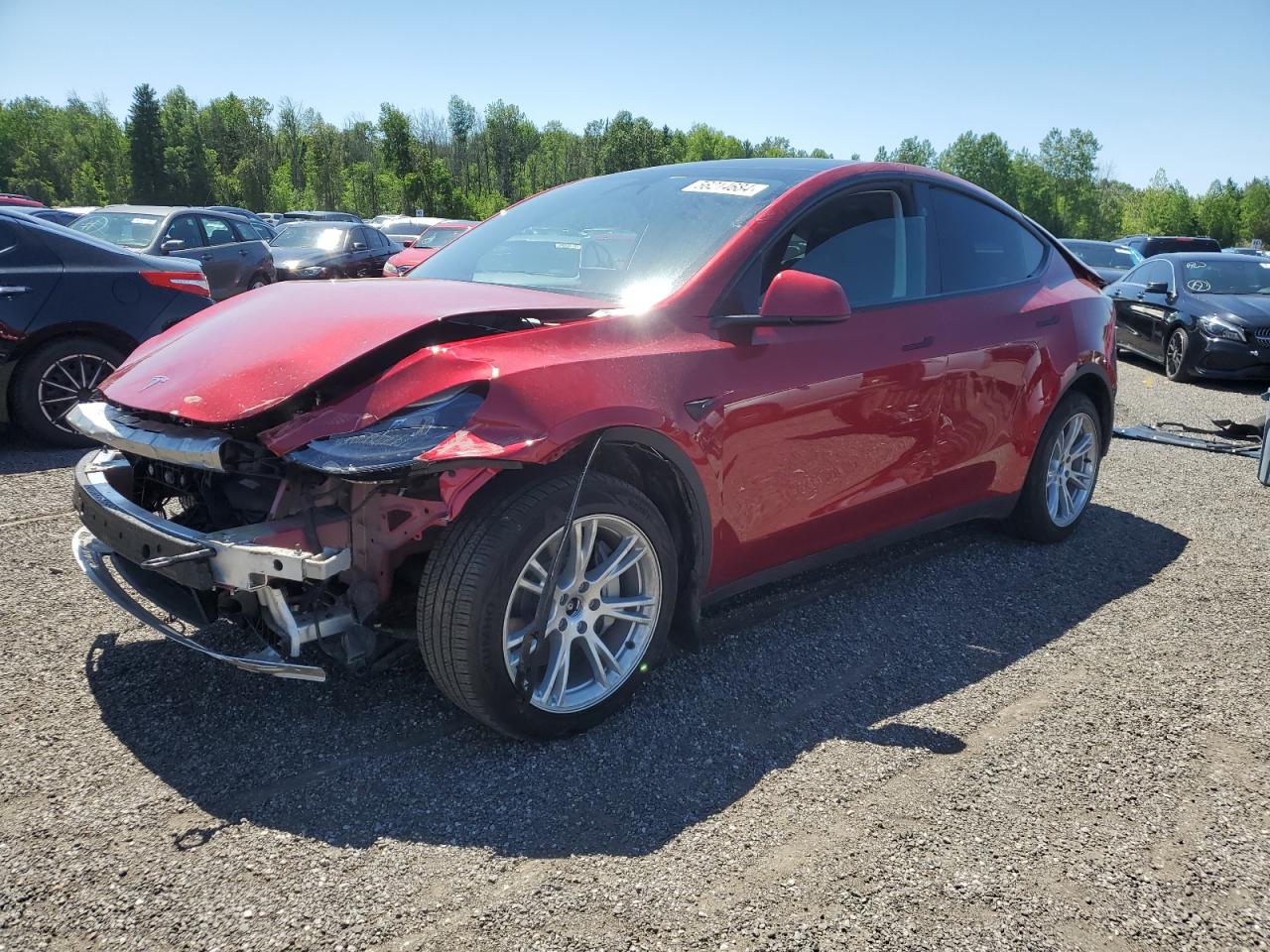 2024 TESLA MODEL Y