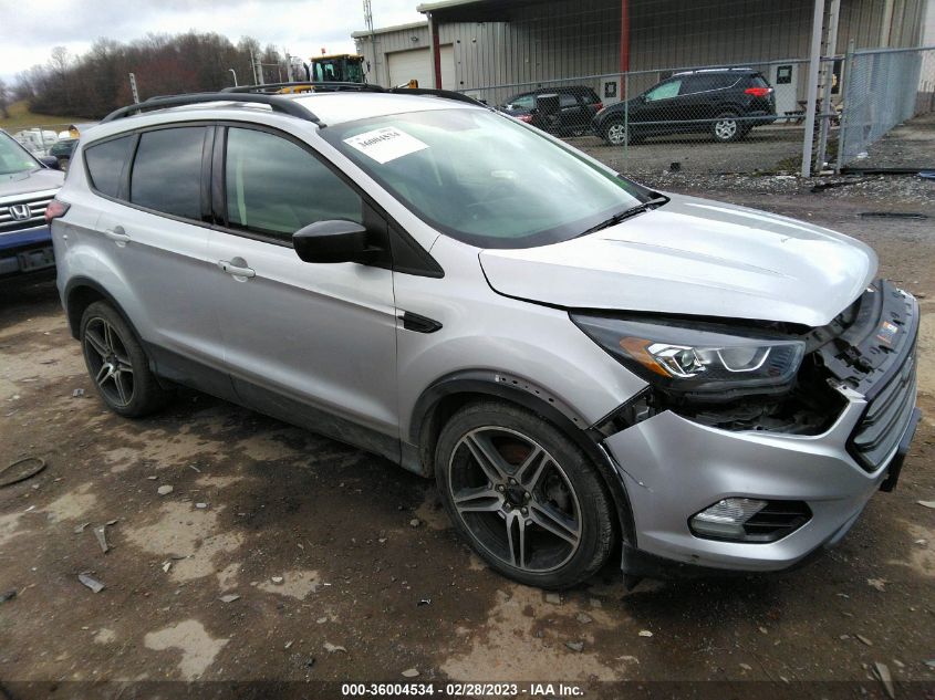 2019 FORD ESCAPE SEL