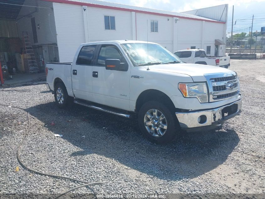 2013 FORD F-150 XLT