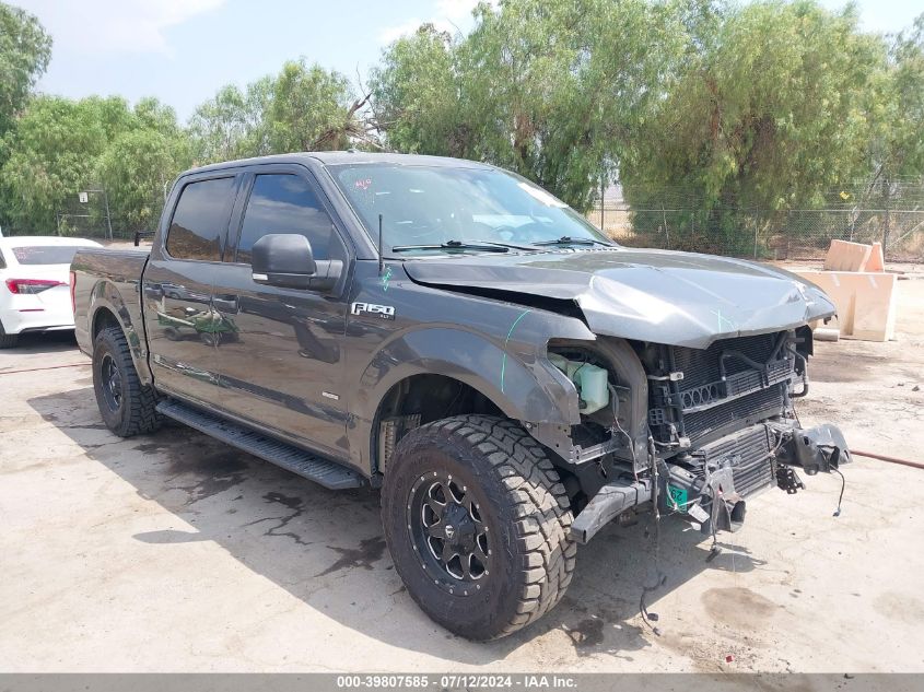 2015 FORD F-150 XLT