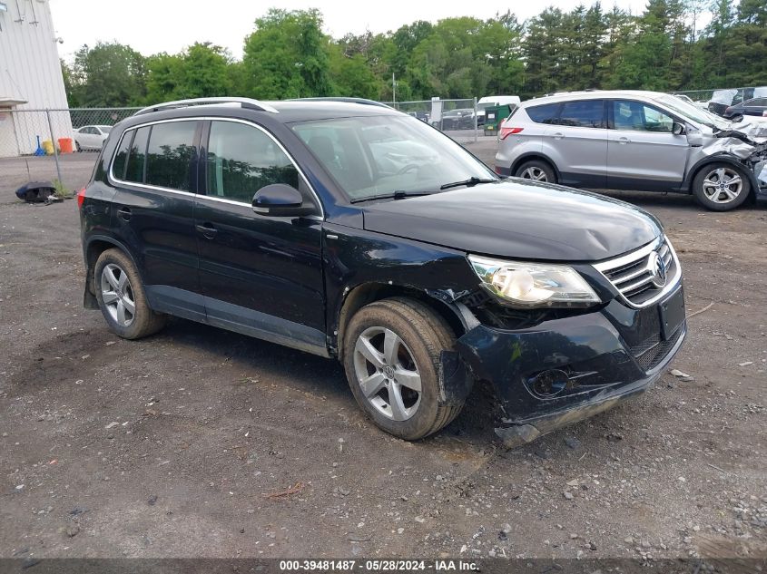 2010 VOLKSWAGEN TIGUAN WOLFSBURG EDITION