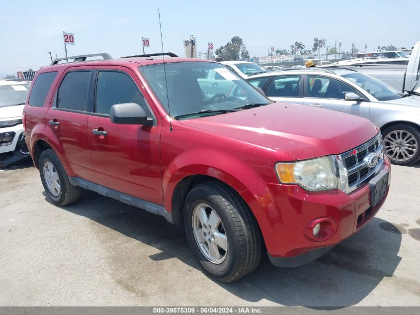 2011 FORD ESCAPE XLT