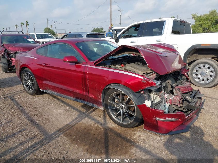 2019 FORD MUSTANG