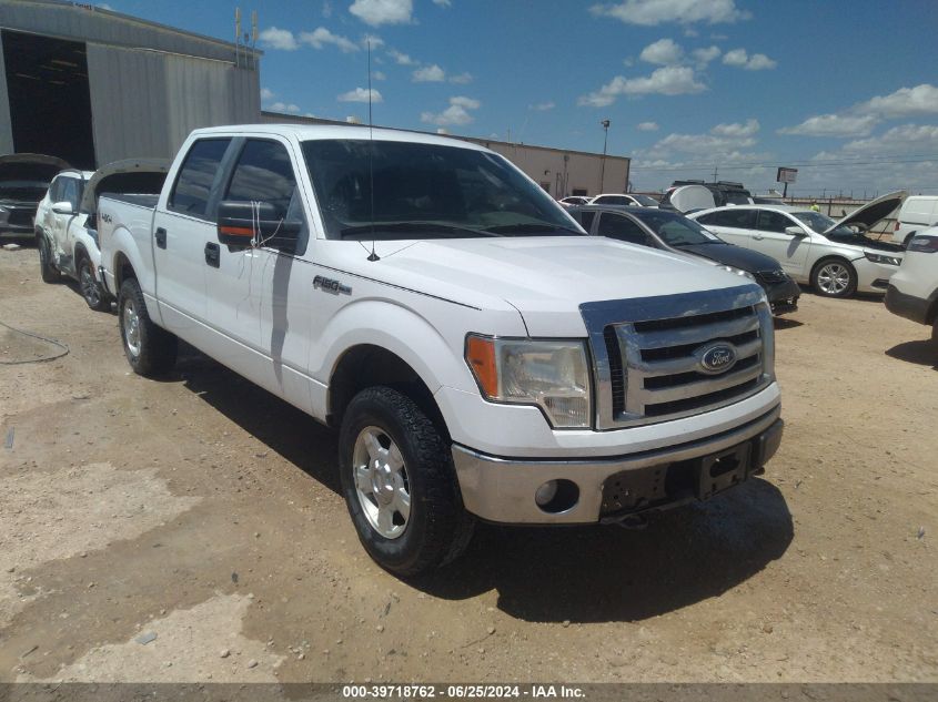 2011 FORD F-150 XLT