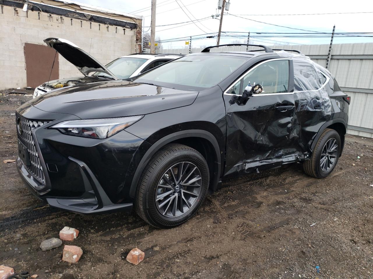 2024 LEXUS NX 350 BASE