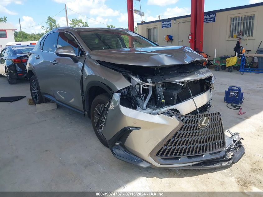 2024 LEXUS NX 250 PREMIUM