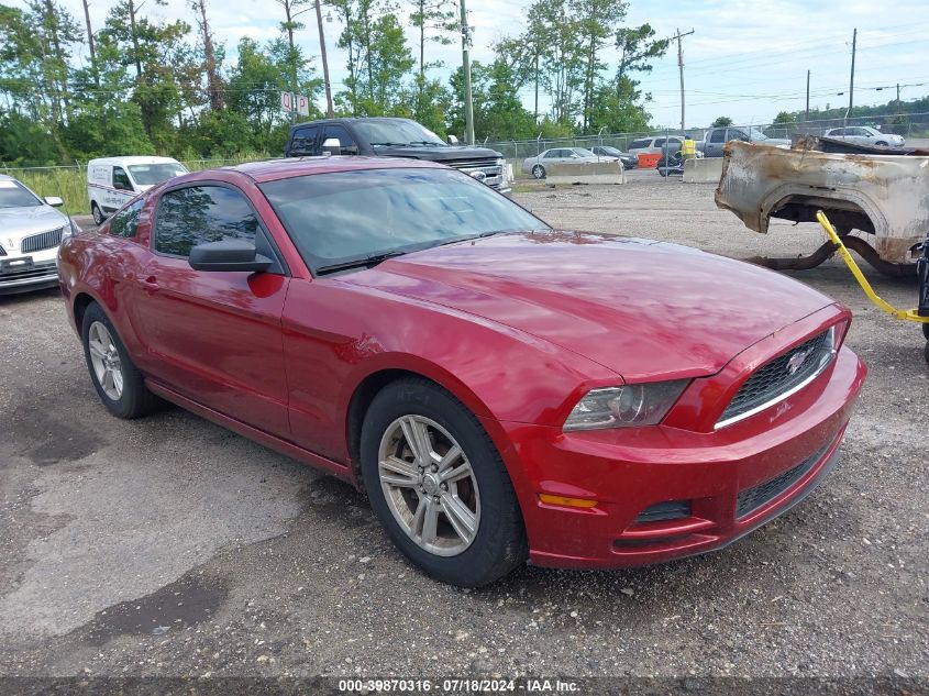 2014 FORD MUSTANG V6