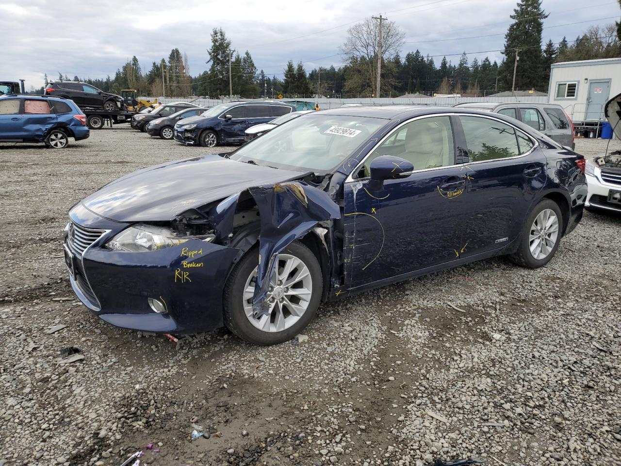 2013 LEXUS ES 300H