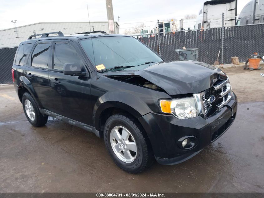 2011 FORD ESCAPE XLT