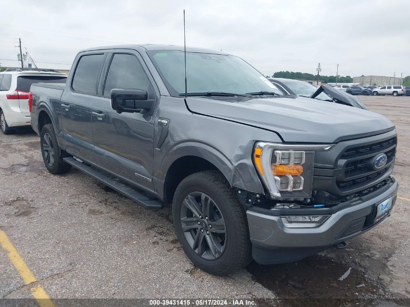 2023 FORD F-150 XLT