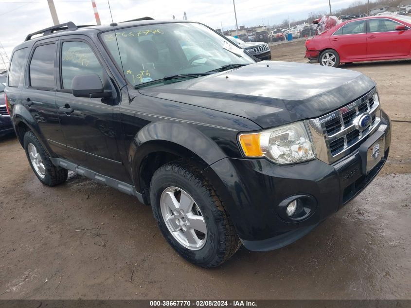 2012 FORD ESCAPE XLT