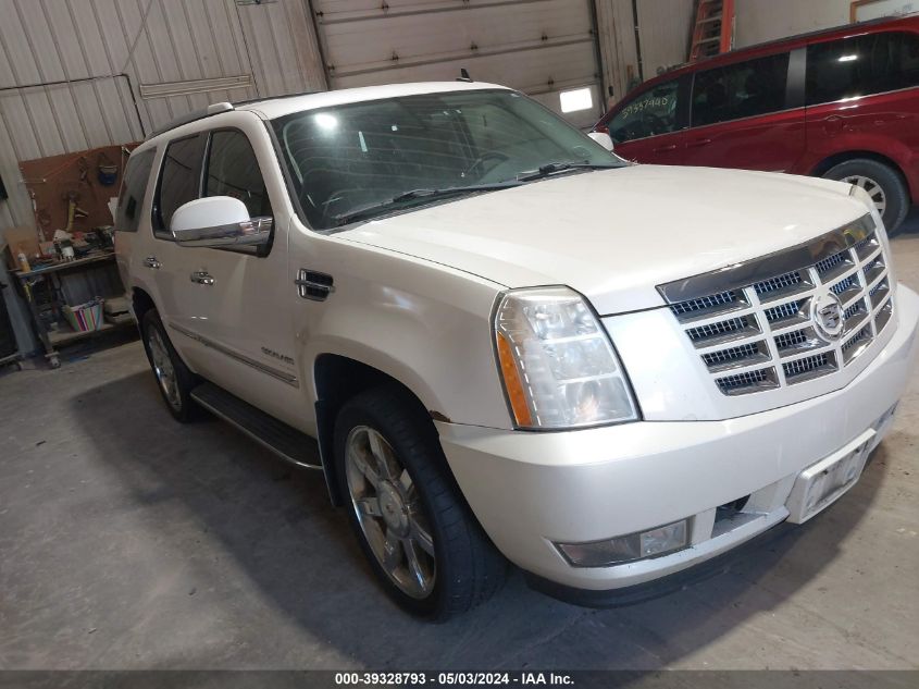 2010 CADILLAC ESCALADE LUXURY