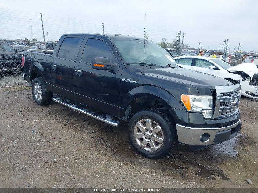 2013 FORD F-150 XLT