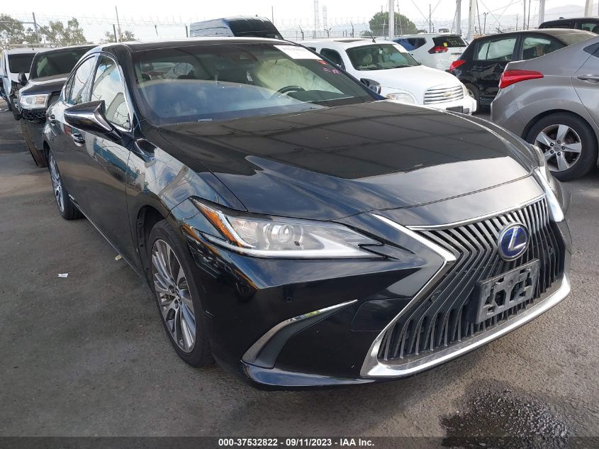 2019 LEXUS ES 300H