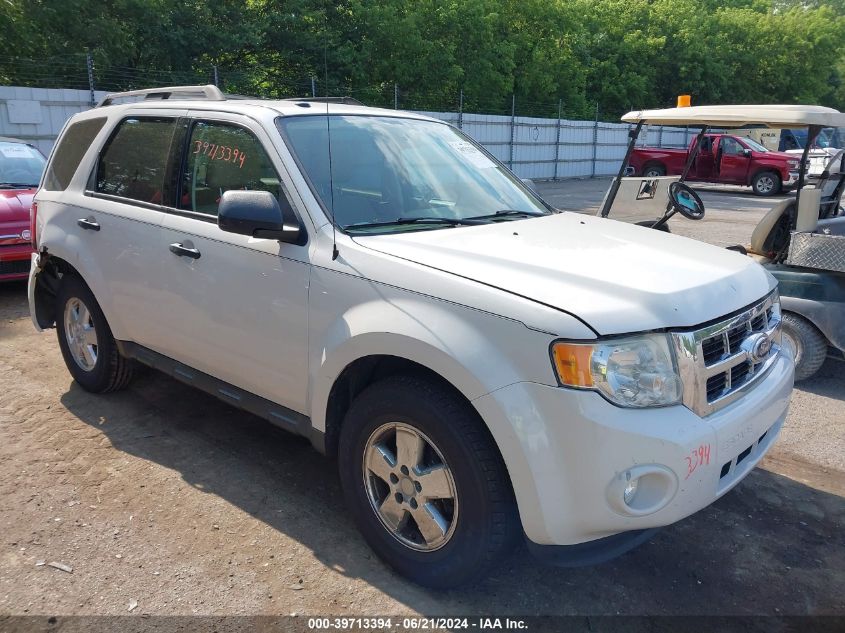 2010 FORD ESCAPE XLT