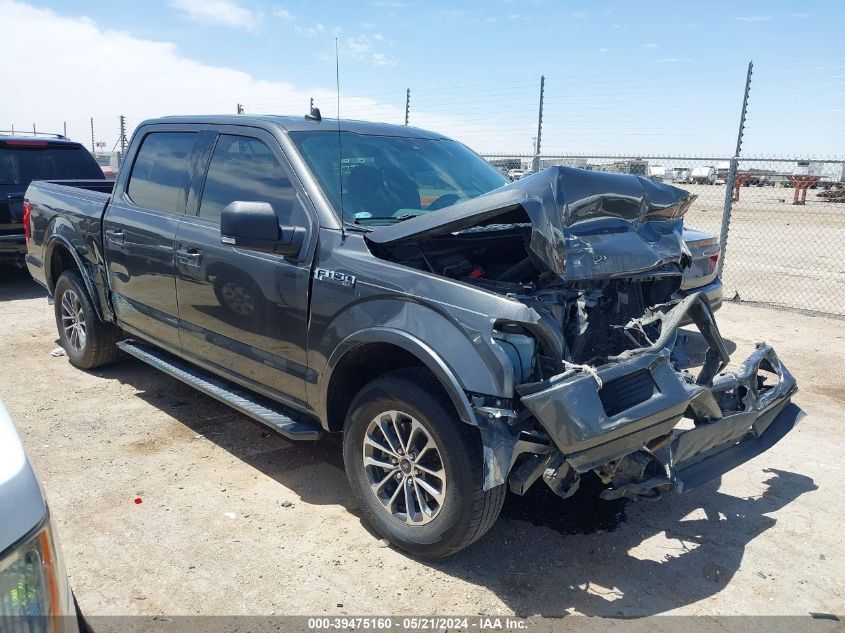 2019 FORD F-150 XLT