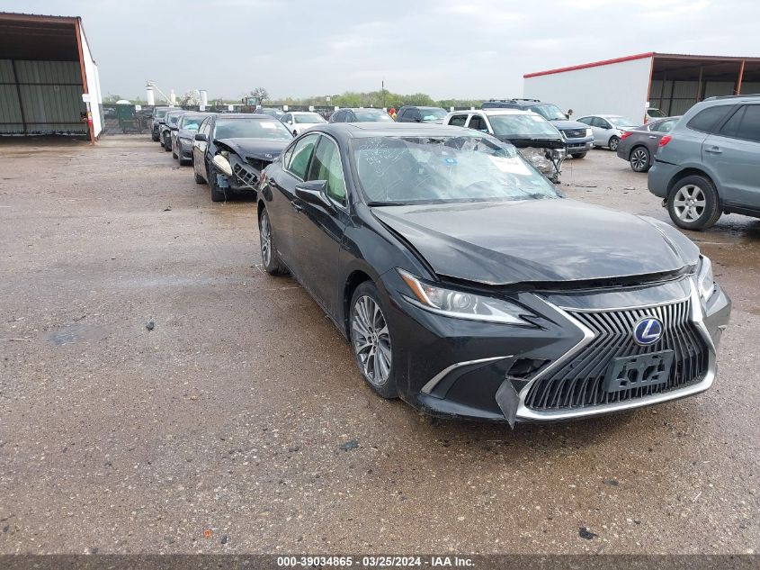 2019 LEXUS ES 300H