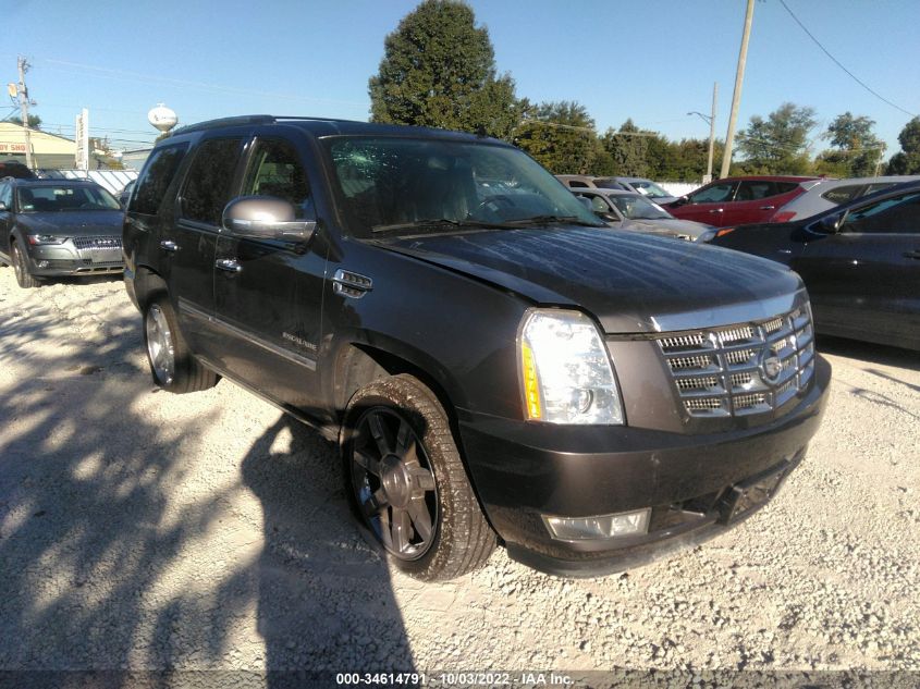 2010 CADILLAC ESCALADE PREMIUM