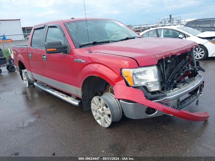 2011 FORD F-150 XLT