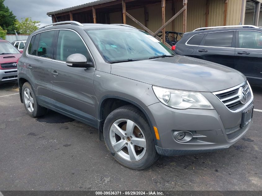 2010 VOLKSWAGEN TIGUAN WOLFSBURG EDITION