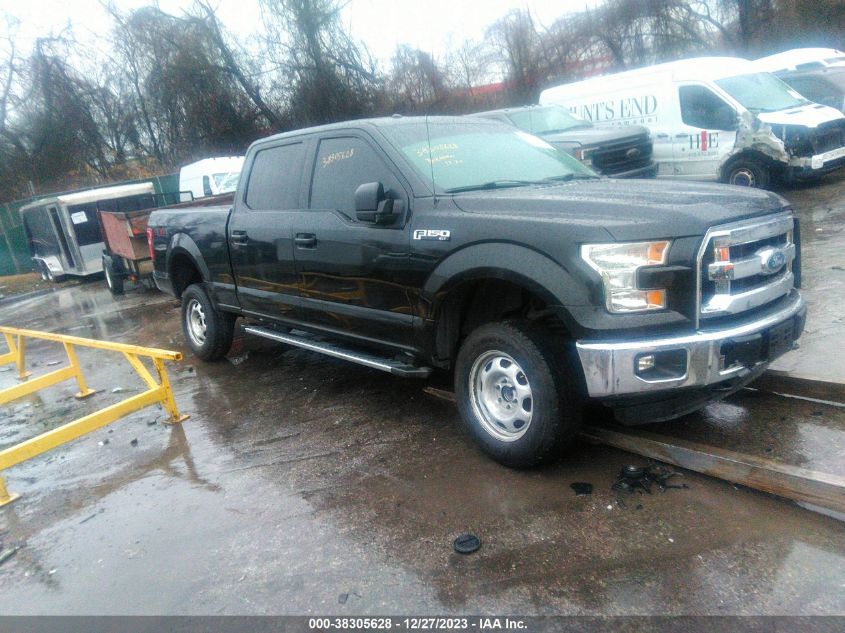 2015 FORD F-150 XLT