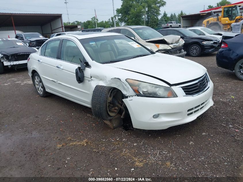 2010 HONDA ACCORD EXL