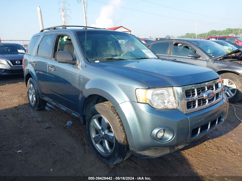 2011 FORD ESCAPE XLT