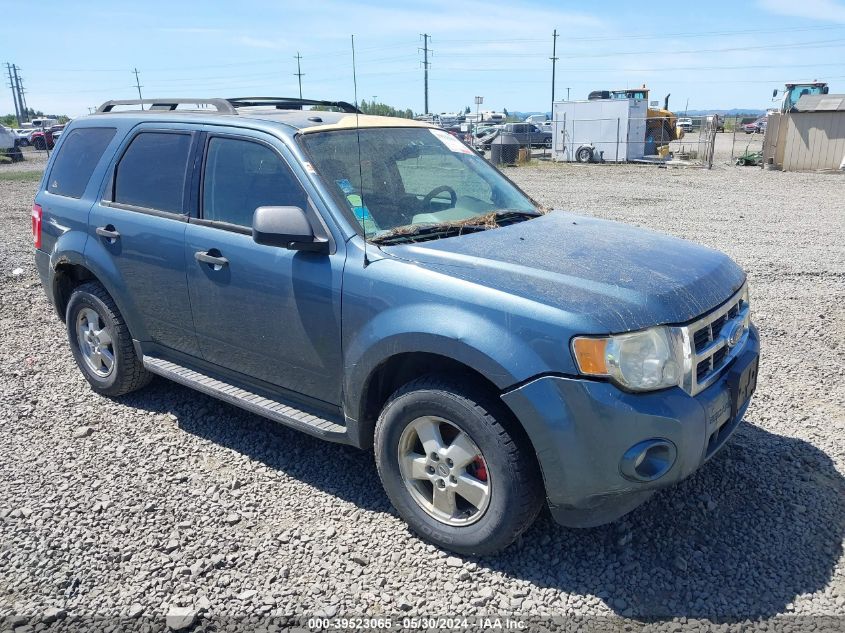 2010 FORD ESCAPE XLT