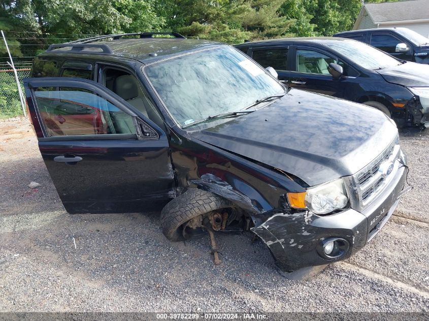 2011 FORD ESCAPE XLT