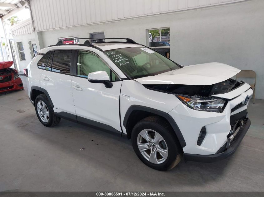 2019 TOYOTA RAV4 XLE/XSE