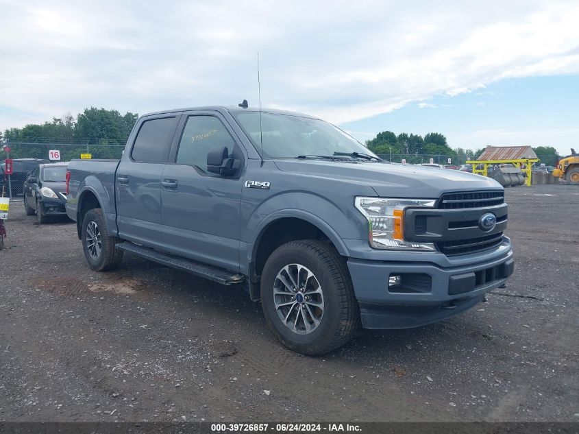 2019 FORD F-150 XLT