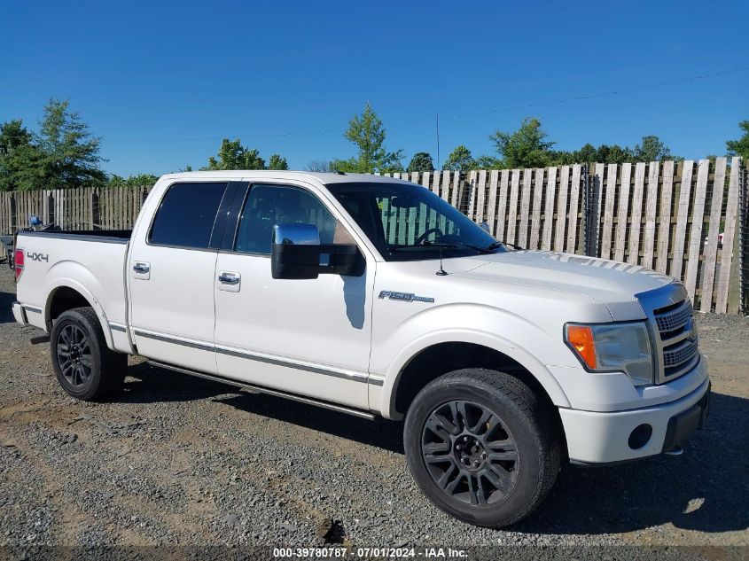 2010 FORD F-150 FX4/HARLEY-DAVIDSON/KING RANCH/LARIAT/PLATINUM/XL/XLT