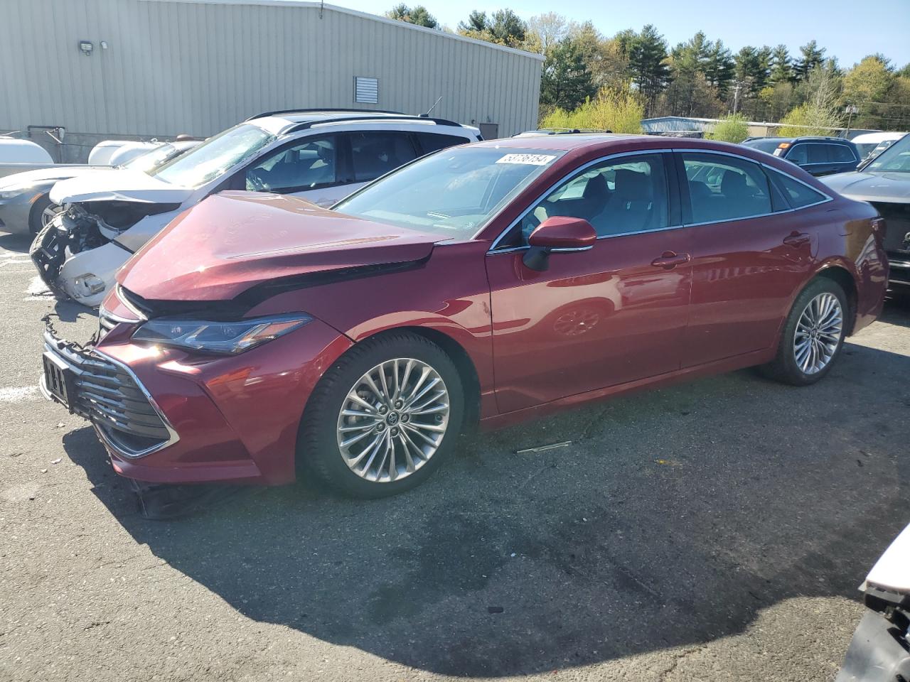 2019 TOYOTA AVALON XLE