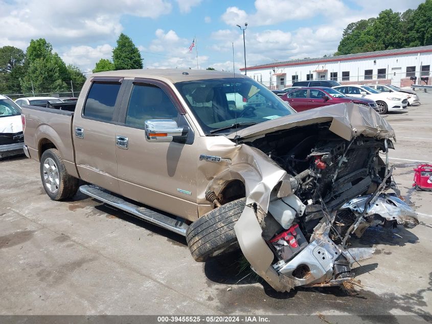 2013 FORD F-150 XLT