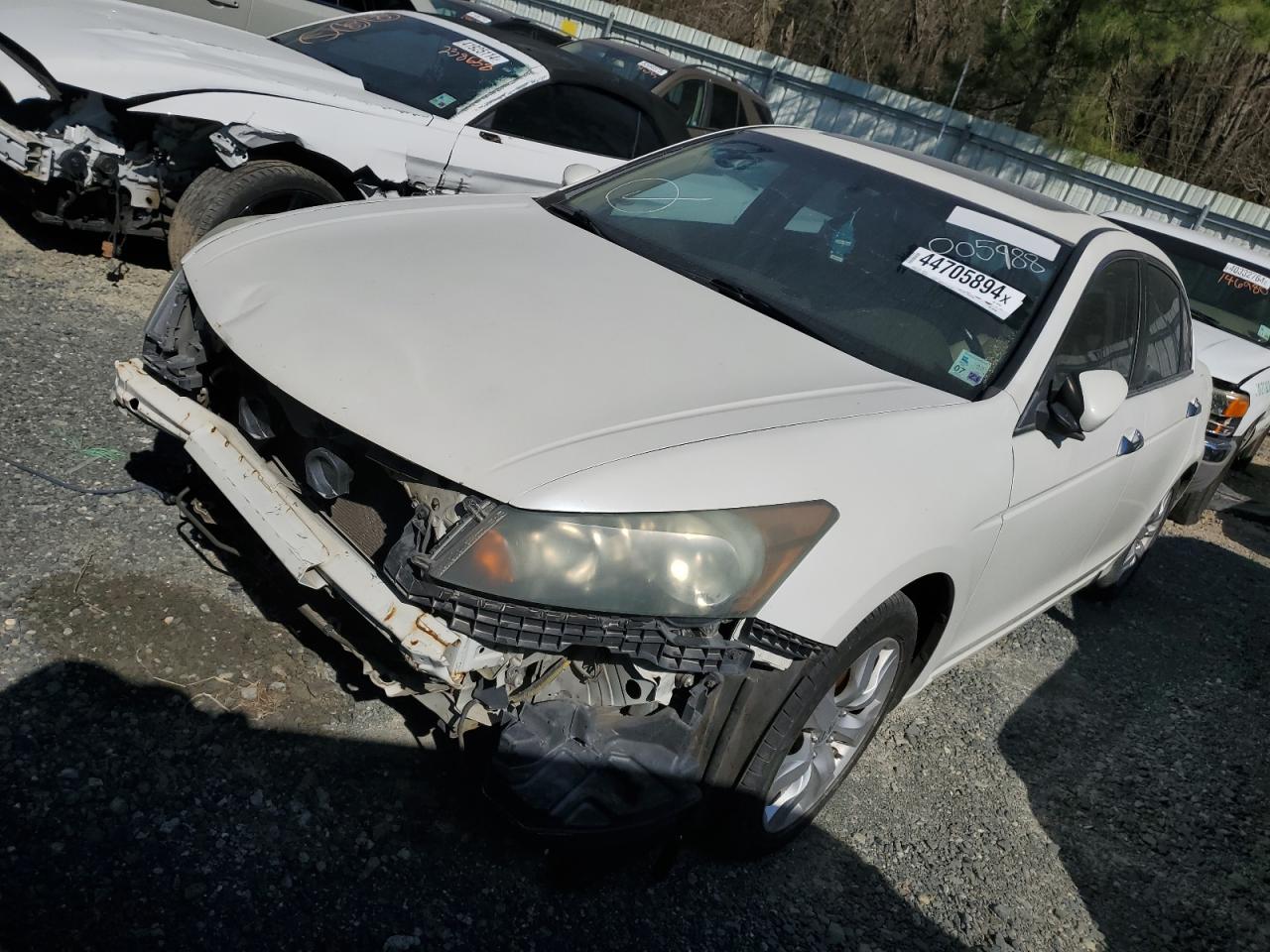 2010 HONDA ACCORD EXL