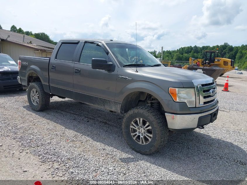 2011 FORD F-150 XLT