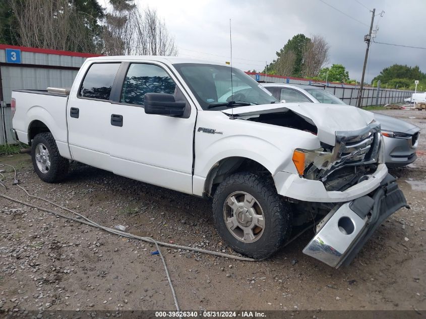 2011 FORD F-150 XLT