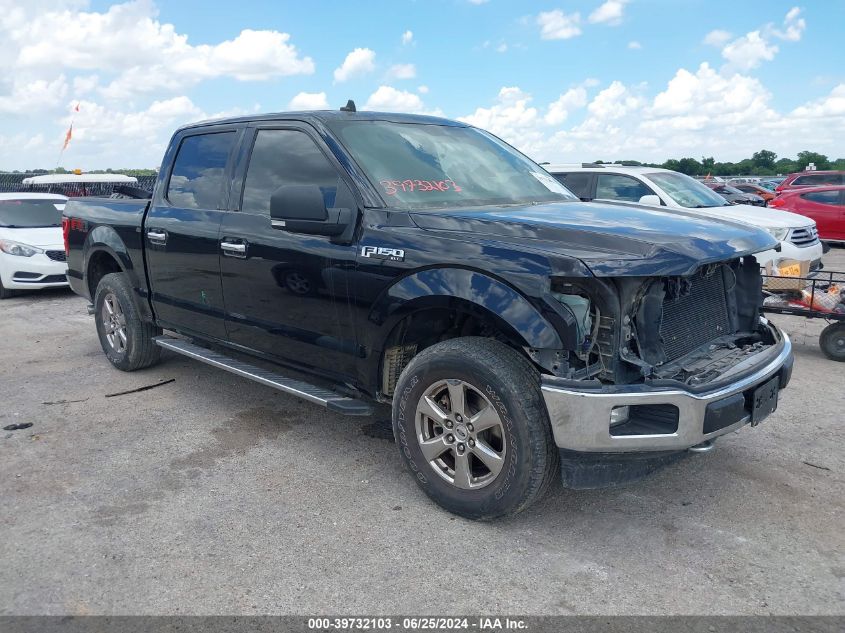 2019 FORD F-150 XLT