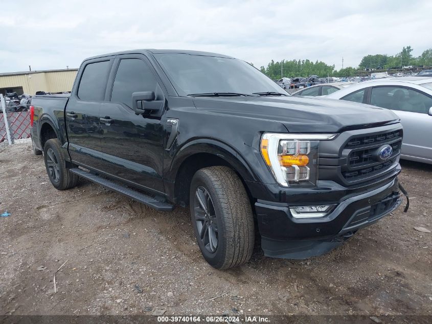 2023 FORD F-150 XLT