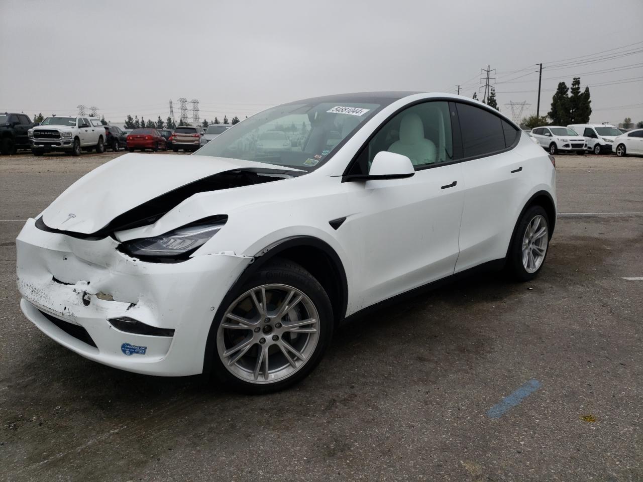 2021 TESLA MODEL Y