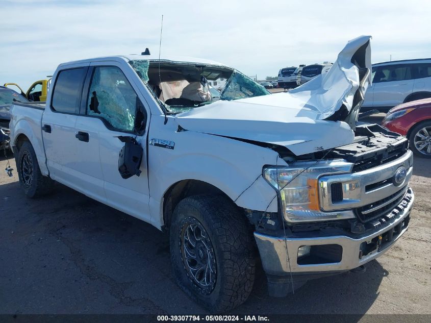 2019 FORD F-150 XLT