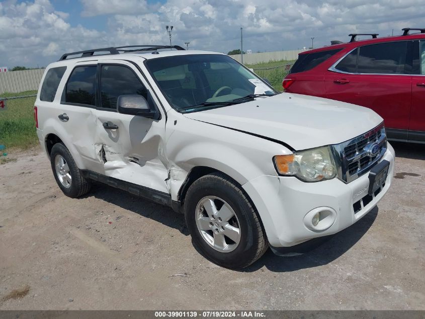 2011 FORD ESCAPE XLT