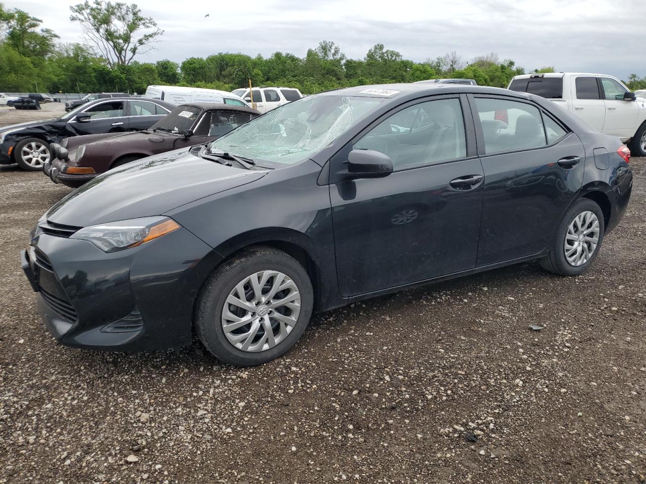 2019 TOYOTA COROLLA L