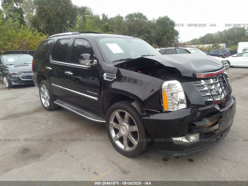 2010 CADILLAC ESCALADE LUXURY