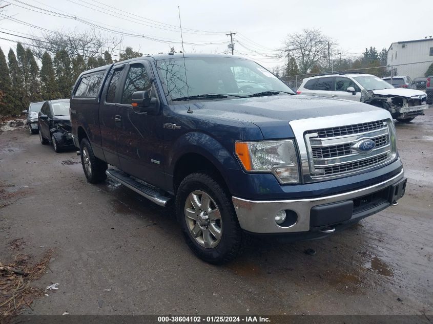 2014 FORD F-150 XLT